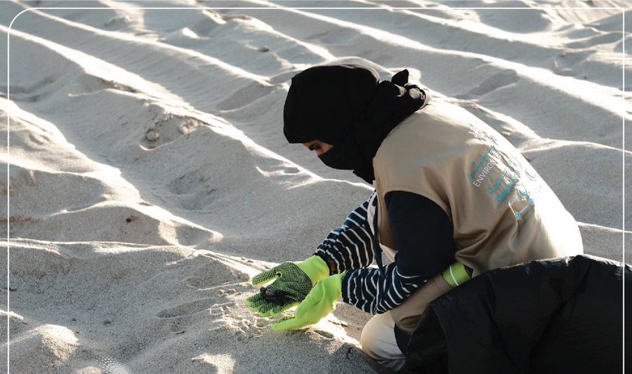 هيئة البيئة سلطنة عمان.. تطلق برنامج “تارتل كوماندوز” مشروع لحماية ورقابة ورصد السلاحف برأس الحد مصيرة